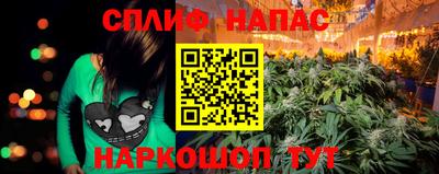 мяу мяу мука Прокопьевск