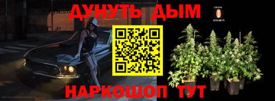 мяу мяу мука Прокопьевск