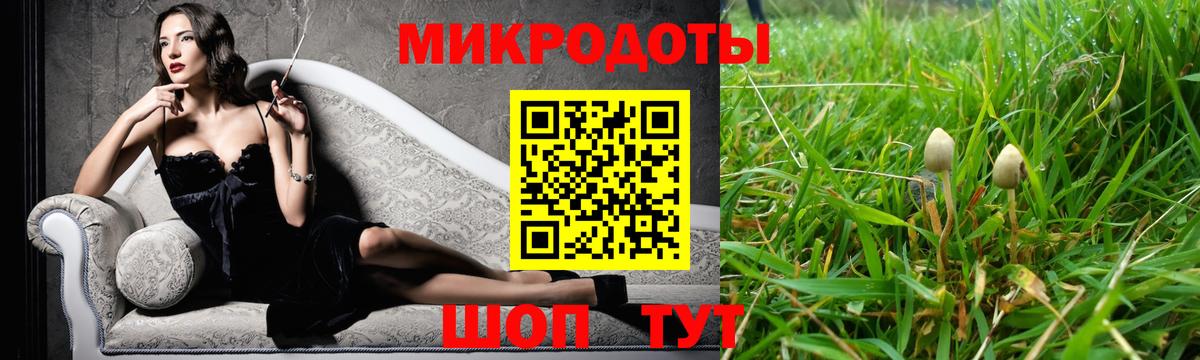 Галлюциногенные грибы Psilocybine cubensis Асбест